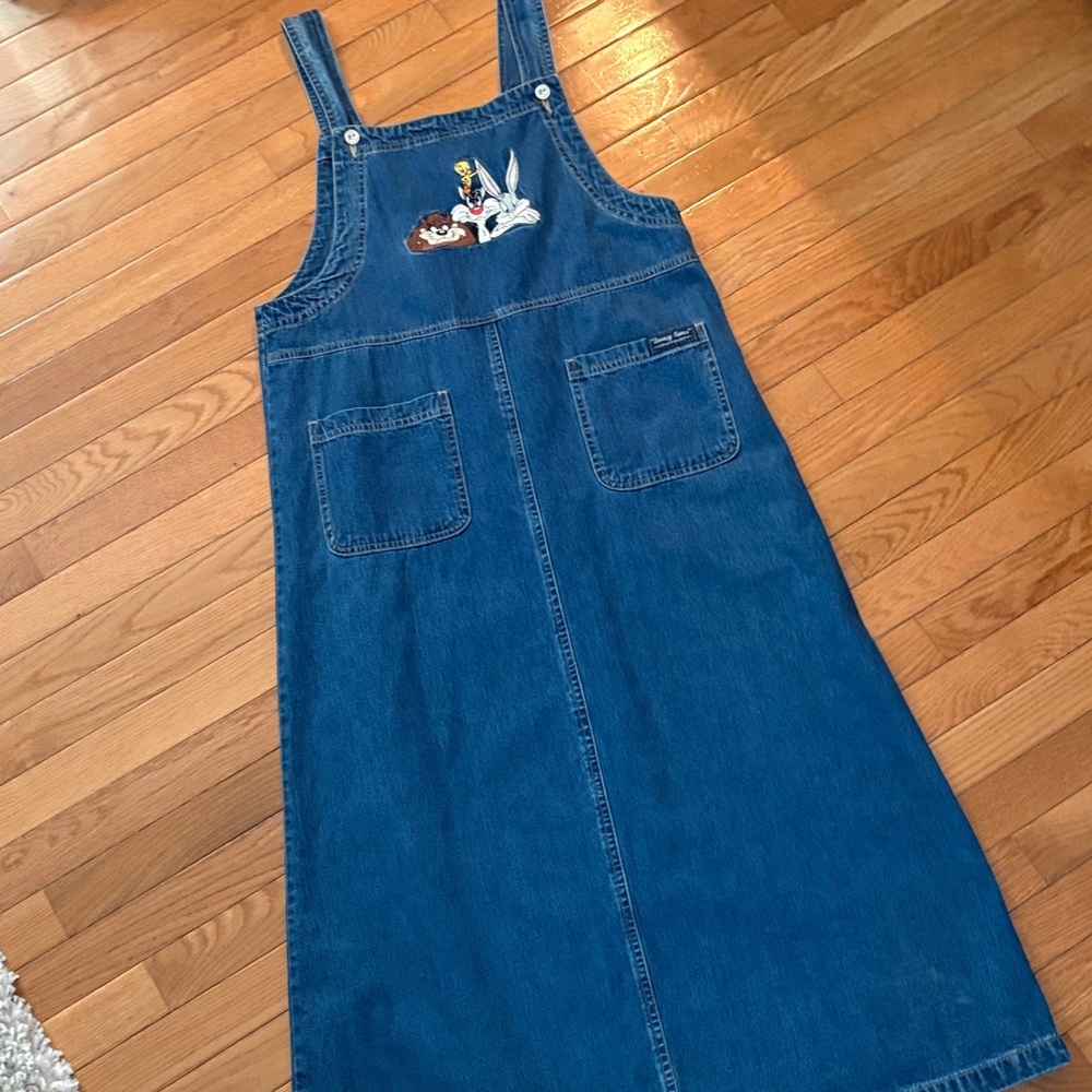 Warner Bros. Embroidered Blue Maxi Dress